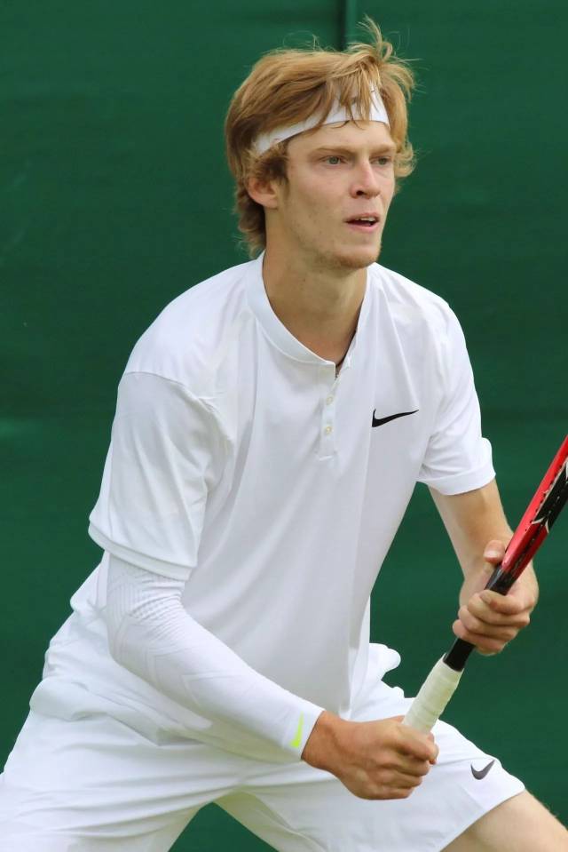 社交媒体已 社交媒体已