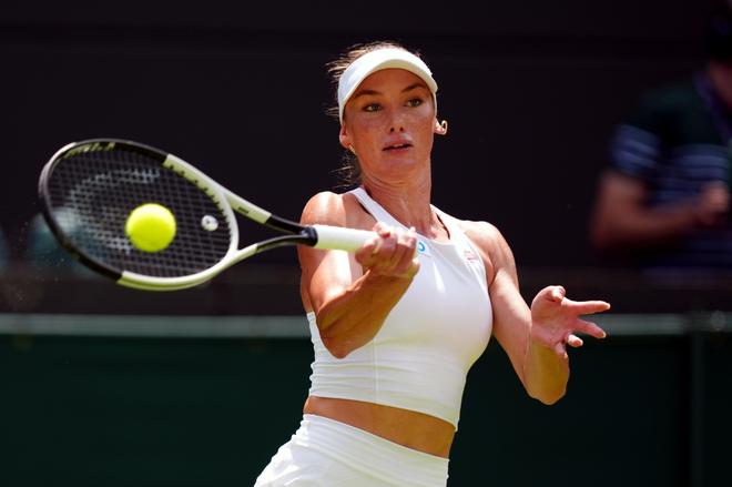 分提供了绝 分提供了绝